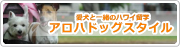 愛犬と一緒にハワイ留学