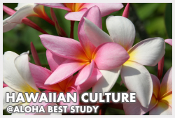 Hawaiian Culture Lesson