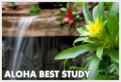 Hawaii Language, Senior Student, Hawaii Family Study