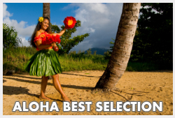 Retail Sale of Hawaiian Goods